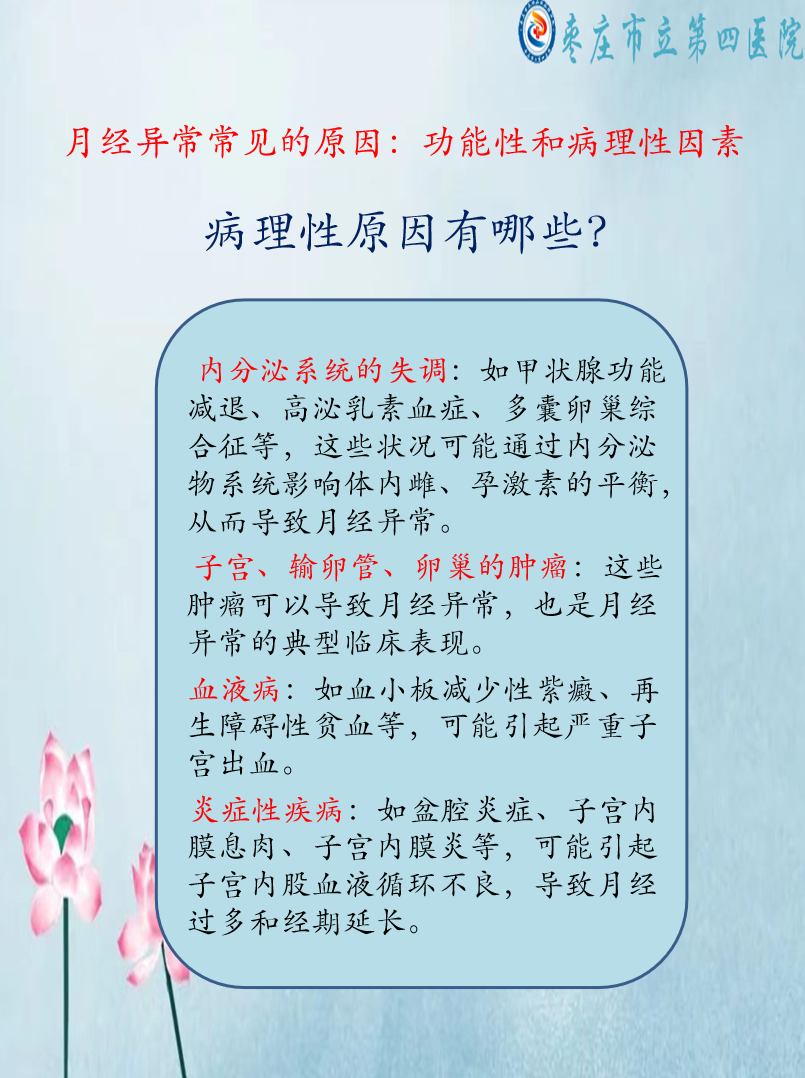 寰俊鍥劇墖_20241213093456.png